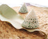 Jade Green Seashell Trochus Shell for sale